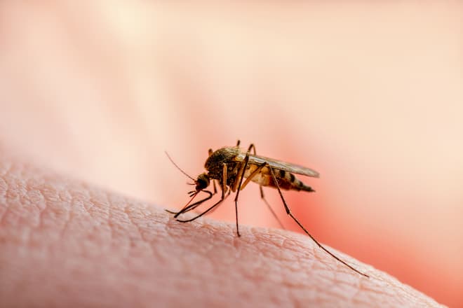 what's the best way To keep mosquitoes from biting