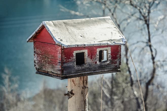 do-bird-feeders-attract-rats