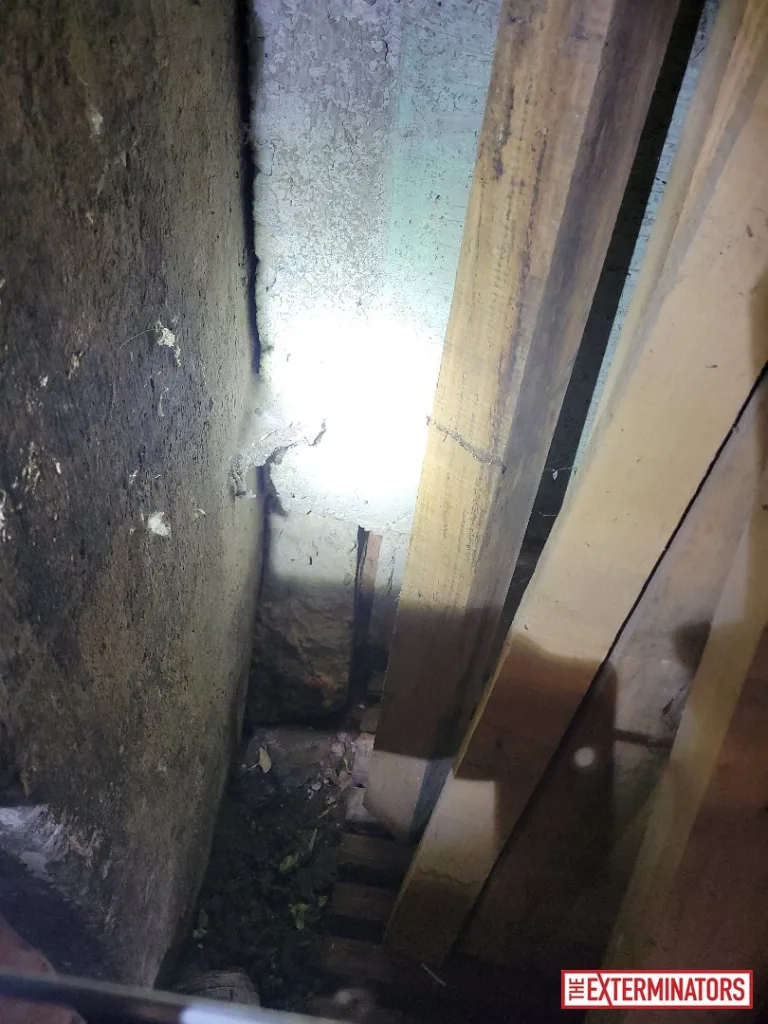 peterborough crawlspace overview inspection 05 peterborough crawlspace overview inspection 05
