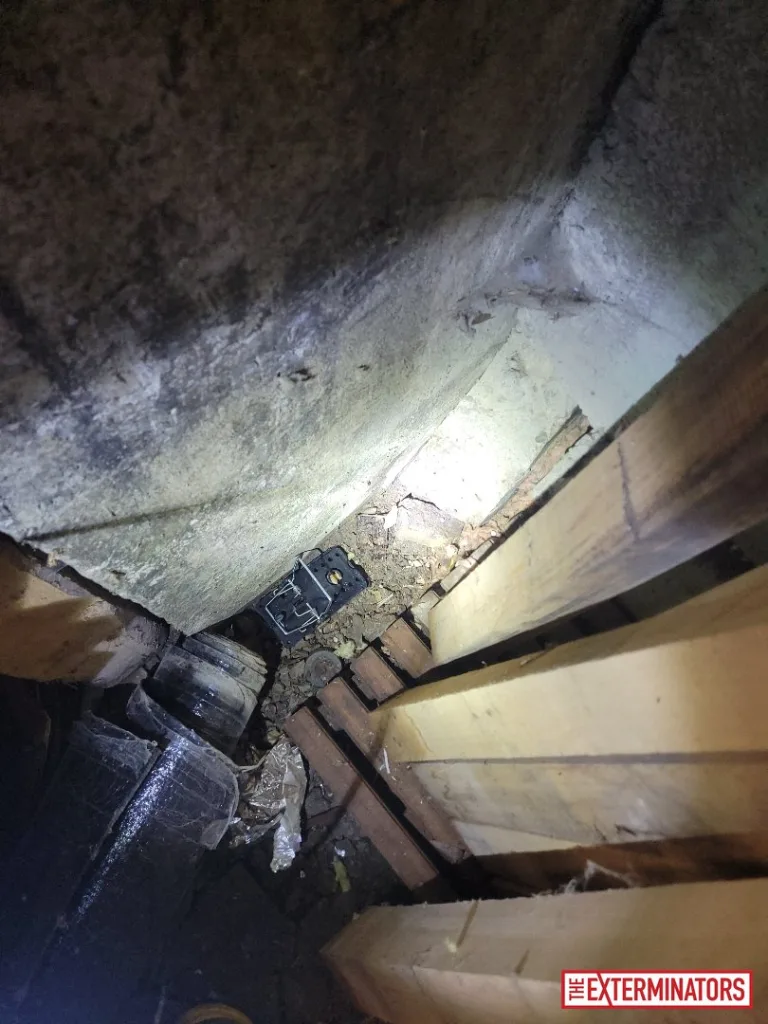 peterborough crawlspace structural damage inspection 06