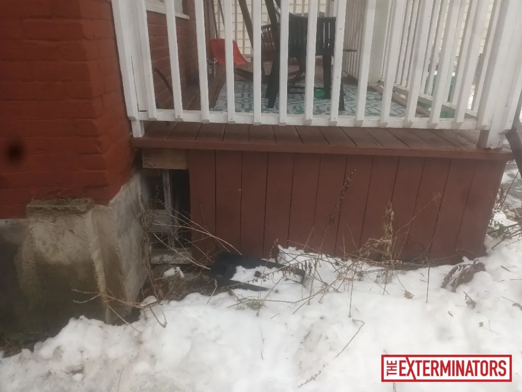 peterborough deck entry point inspection 03 peterborough deck entry point inspection 03