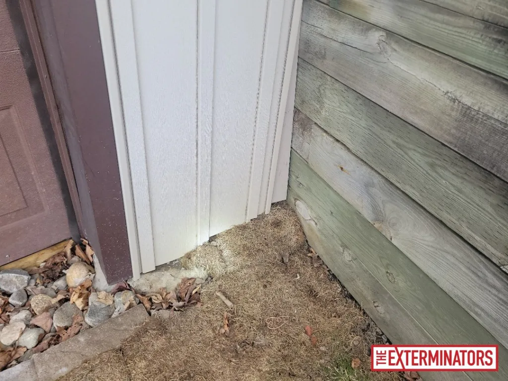 peterborough foundation entry point inspection 01 peterborough foundation entry point inspection 01