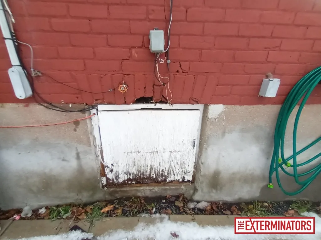 peterborough foundation entry point inspection 05 peterborough foundation entry point inspection 05