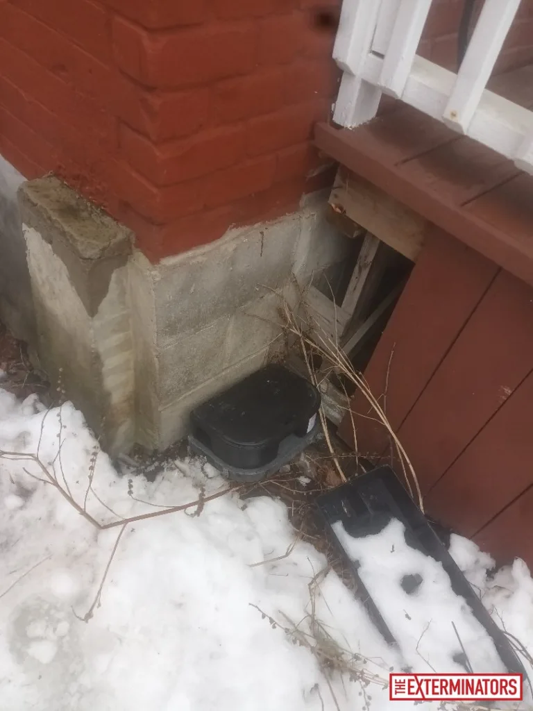 peterborough foundation entry point inspection 08 peterborough foundation entry point inspection 08