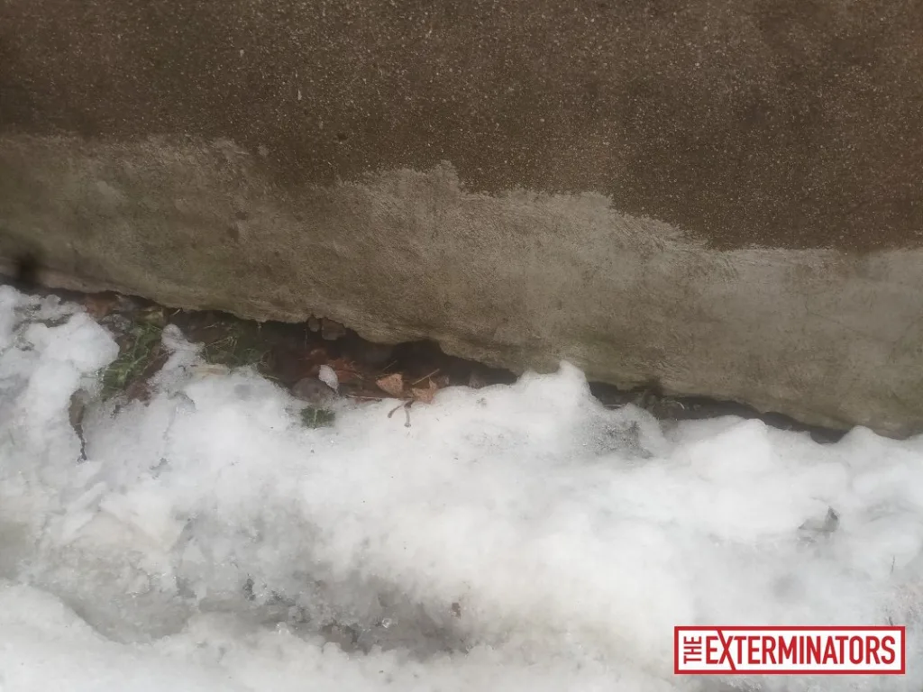 peterborough foundation overview inspection 07 peterborough foundation overview inspection 07