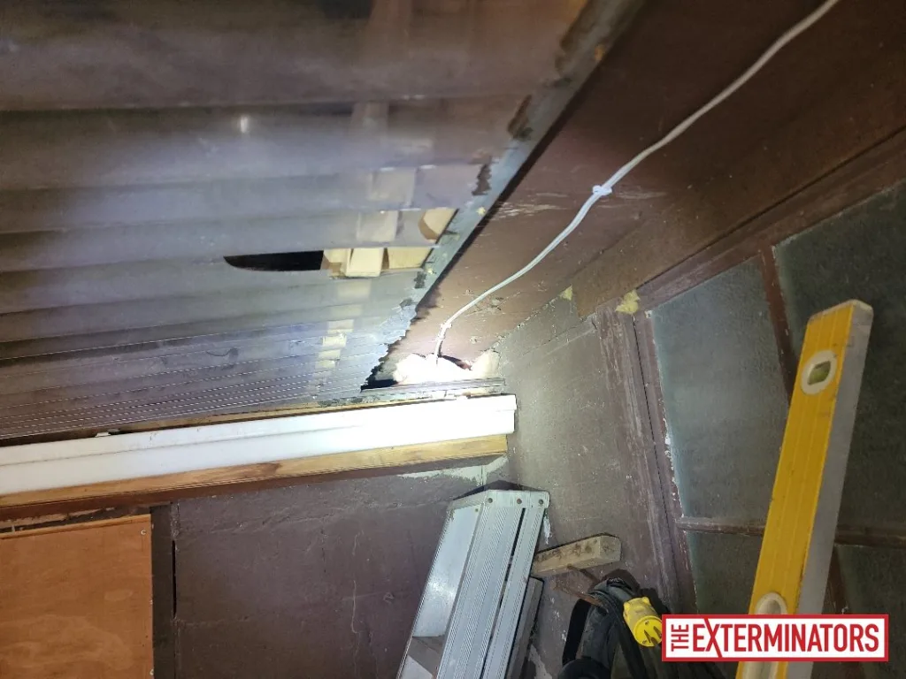 peterborough interior structural damage inspection 04 peterborough interior structural damage inspection 04