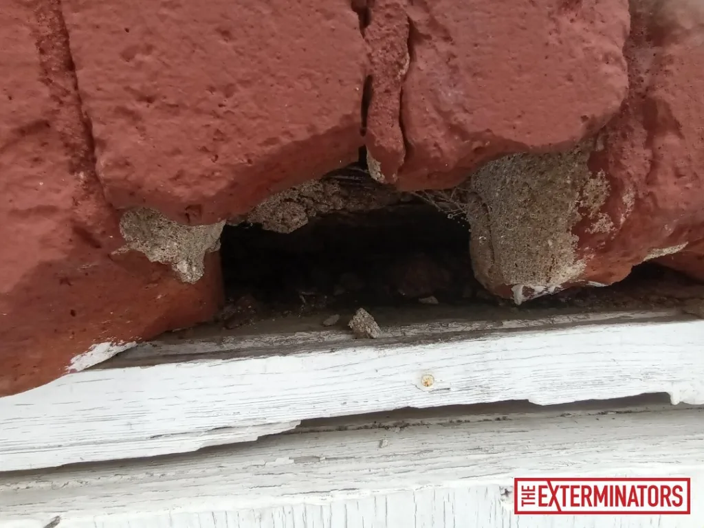 peterborough siding gap opening inspection 04