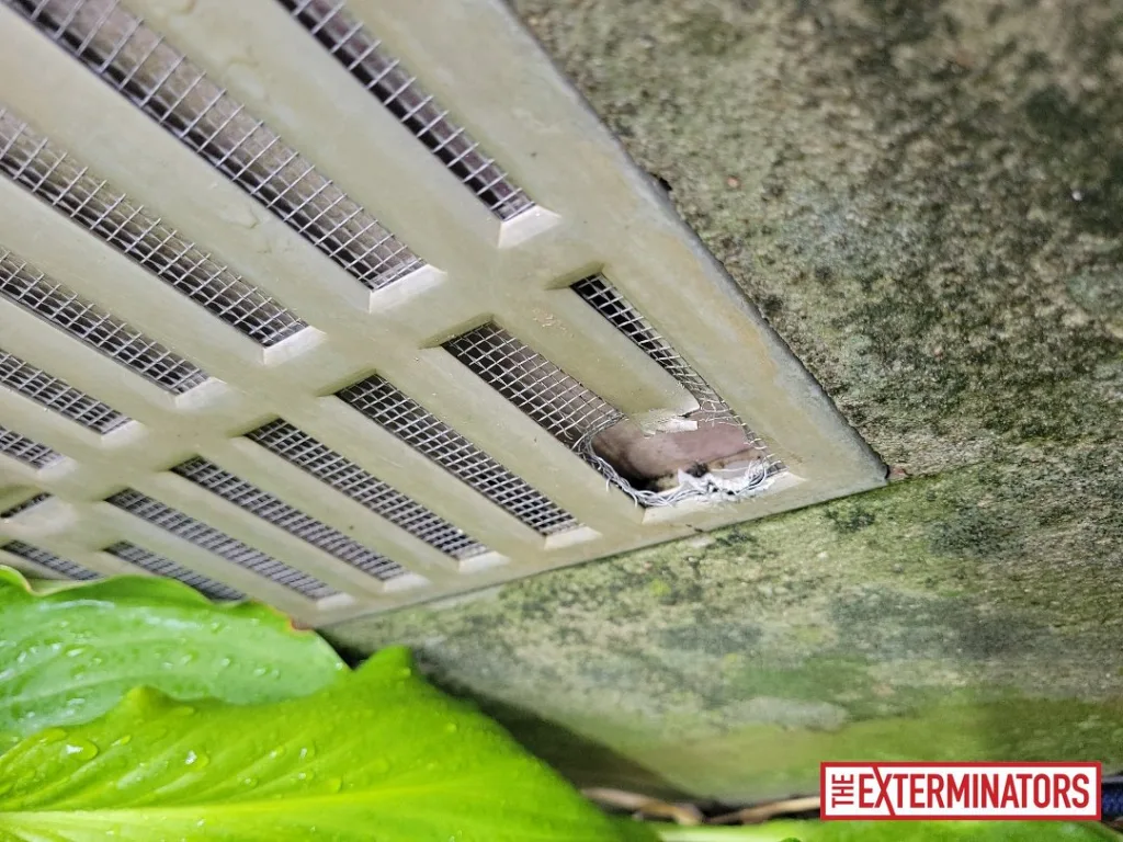 peterborough soffit screening after 01 peterborough soffit screening after 01