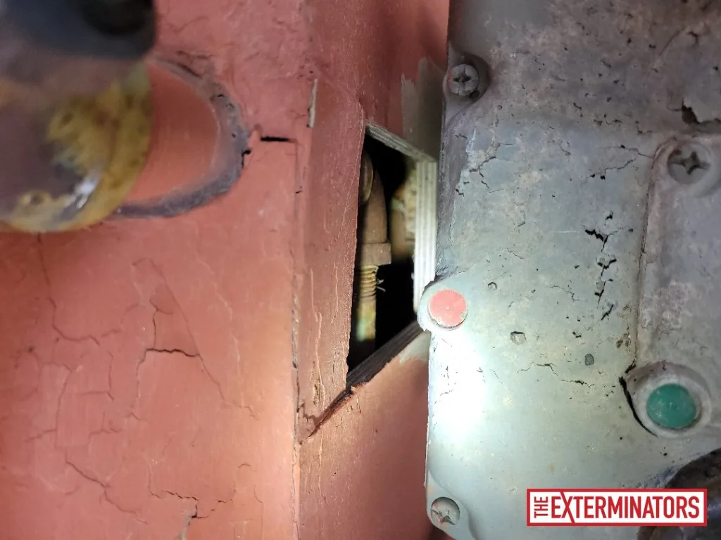 peterborough exterior gap opening inspection 02 peterborough exterior gap opening inspection 02