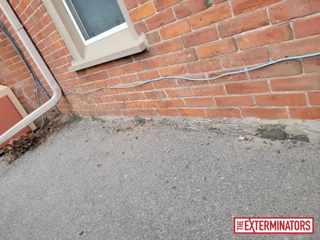 peterborough exterior overview inspection 08 peterborough exterior overview inspection 08