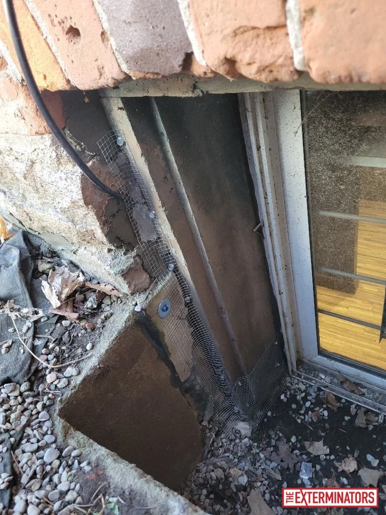 peterborough foundation exclusion ,mesh after 09 peterborough foundation exclusion ,mesh after 09