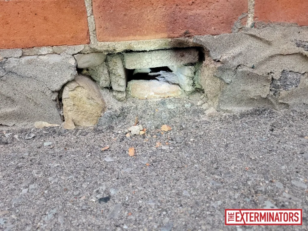 peterborough foundation gap opening inspection 01 peterborough foundation gap opening inspection 01