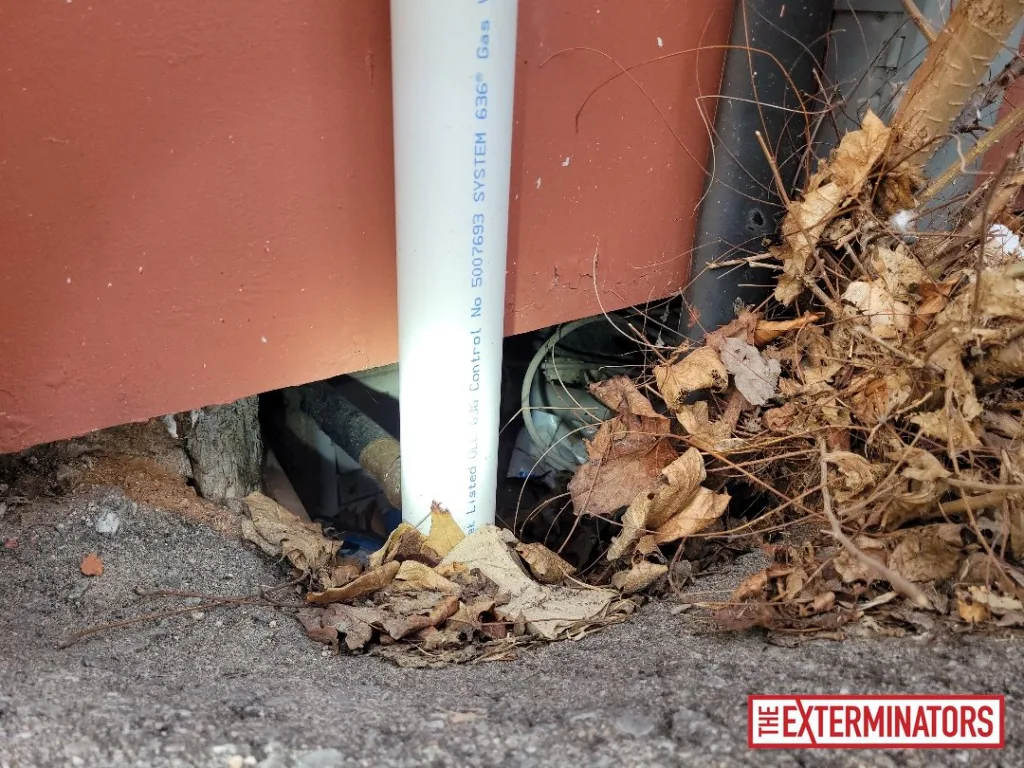 peterborough foundation gap opening inspection 03 peterborough foundation gap opening inspection 03