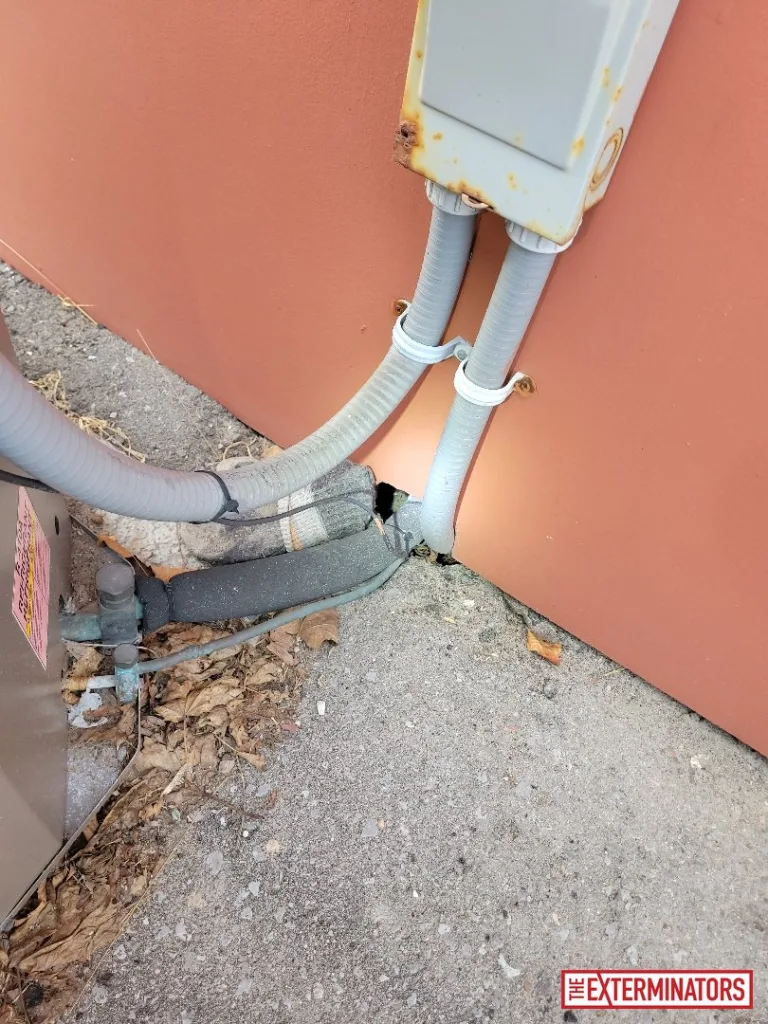 peterborough foundation gap opening inspection 04 peterborough foundation gap opening inspection 04