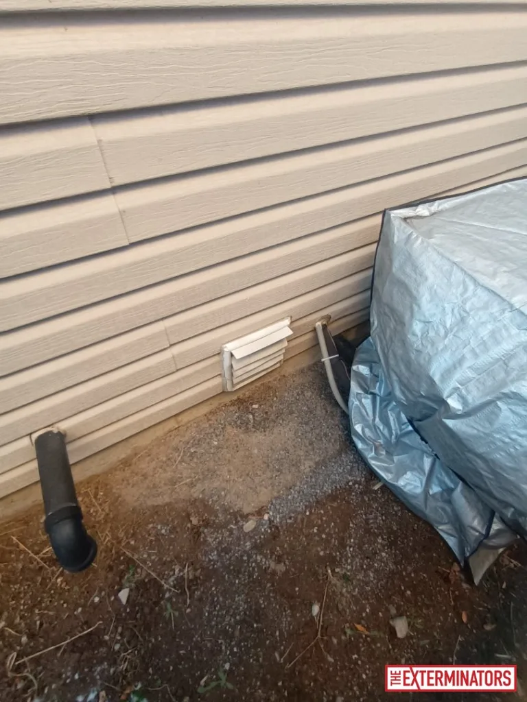 peterborough foundation plumbing vent inspection 04 peterborough foundation plumbing vent inspection 04