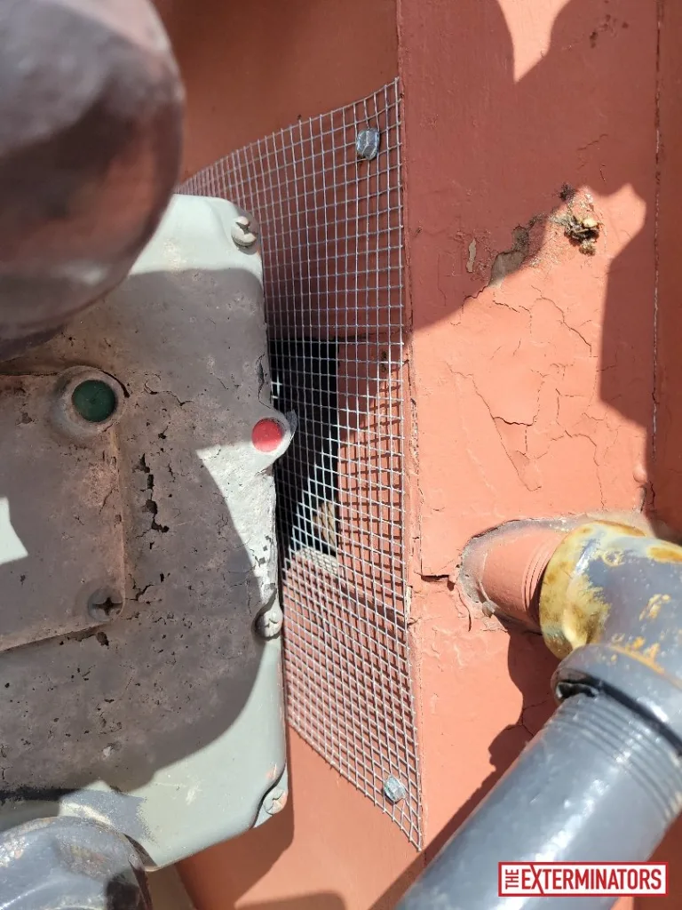 peterborough foundation screening after 02 peterborough foundation screening after 02