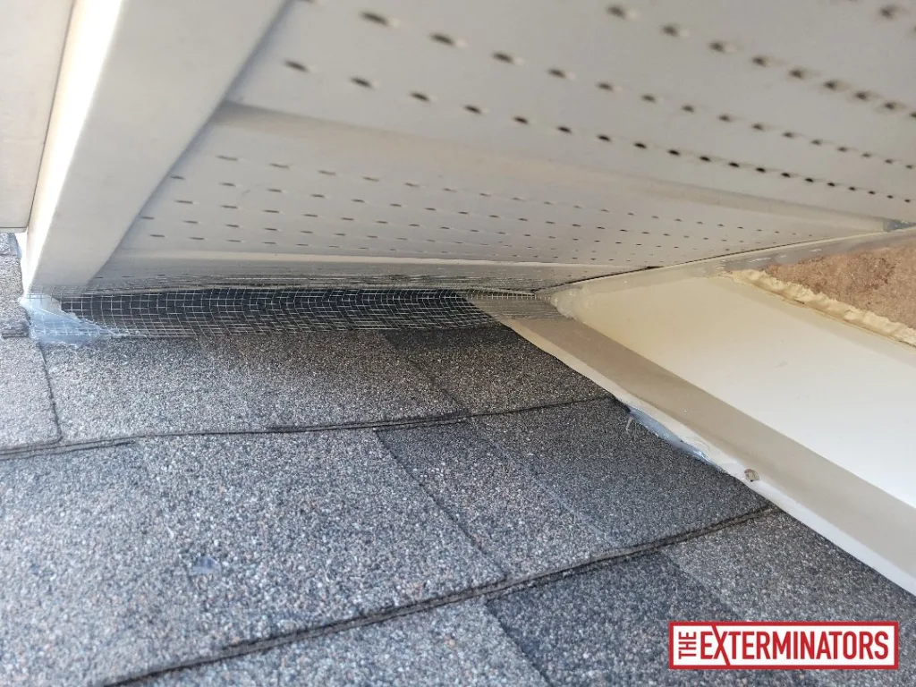 peterborough roof exclusion ,mesh install 04 peterborough roof exclusion ,mesh install 04