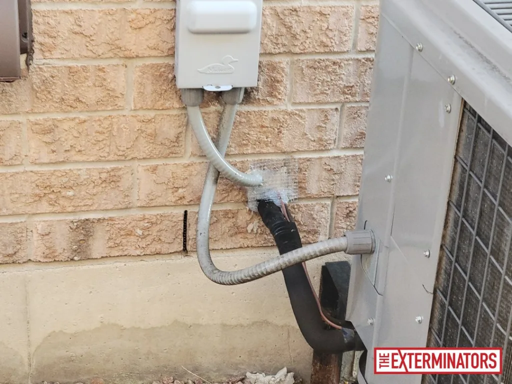 peterborough wall vent exclusion ,mesh install 07 peterborough wall vent exclusion ,mesh install 07