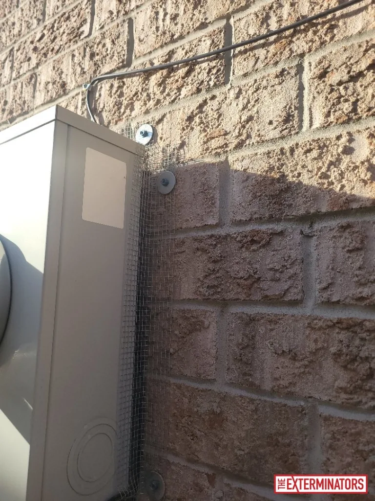 peterborough wall vent exclusion ,mesh install 09 peterborough wall vent exclusion ,mesh install 09